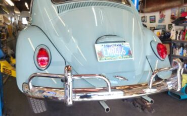 Unknown-Beetle-1964-23