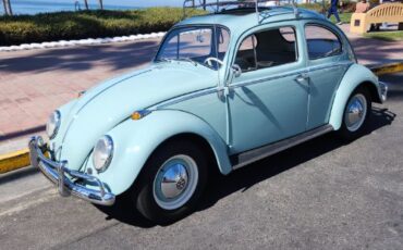 Unknown-Beetle-1964-26