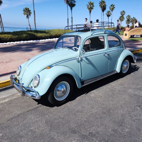 Unknown-Beetle-1964-26
