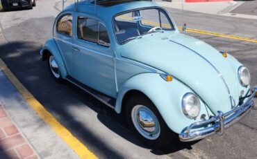 Unknown-Beetle-1964-29