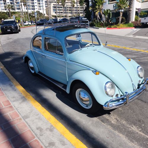 Unknown-Beetle-1964-29