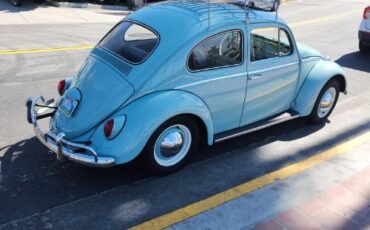 Unknown-Beetle-1964-30