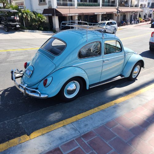 Unknown-Beetle-1964-30