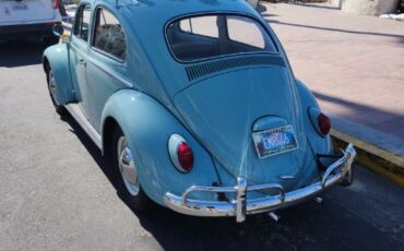Unknown-Beetle-1964-31