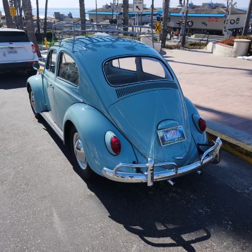 Unknown-Beetle-1964-31