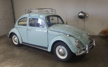 Unknown-Beetle-1964-33