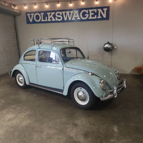Unknown-Beetle-1964-33