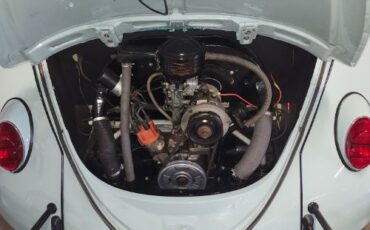Unknown-Beetle-1964