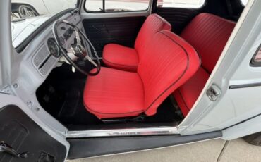 Unknown-Beetle-1964-Nardo-Cement-Gray-Red-3
