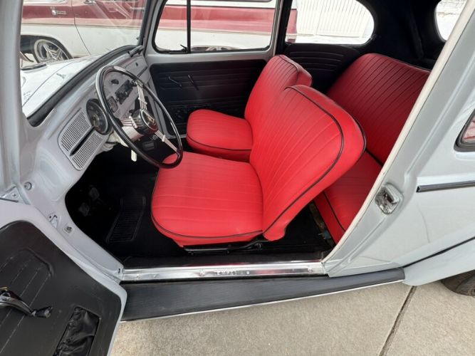 Unknown-Beetle-1964-Nardo-Cement-Gray-Red-3