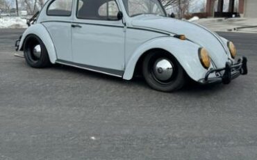 Unknown-Beetle-1964-Nardo-Cement-Gray-Red