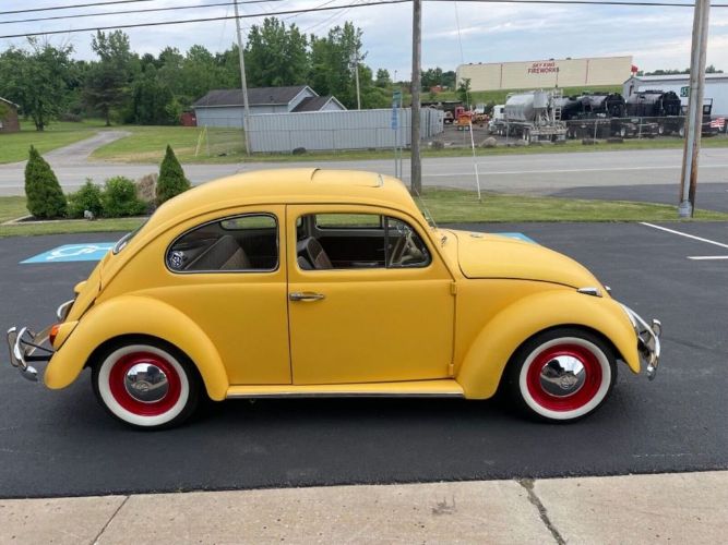 Unknown-Beetle-1964-Yellow-10