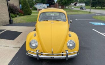 Unknown-Beetle-1964-Yellow-11