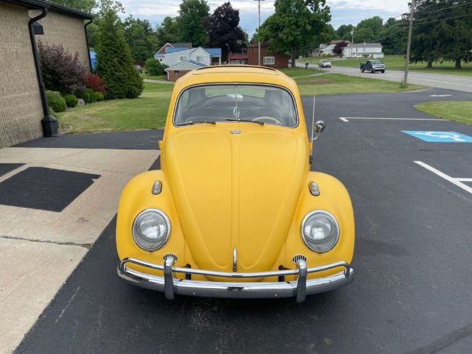 Unknown-Beetle-1964-Yellow-11