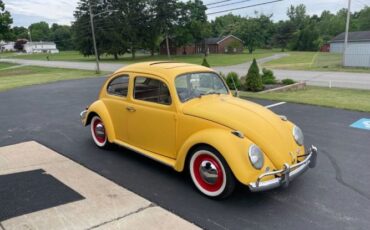 Unknown-Beetle-1964-Yellow