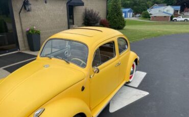 Unknown-Beetle-1964-Yellow-8