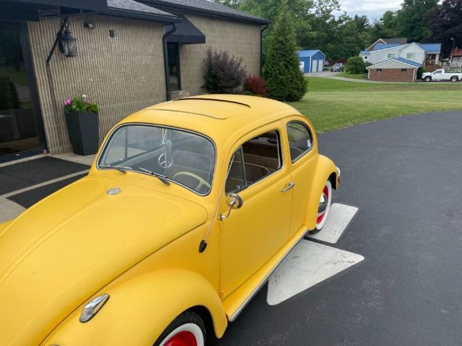 Unknown-Beetle-1964-Yellow-8
