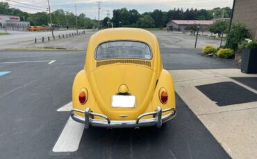 Unknown-Beetle-1964-Yellow-9