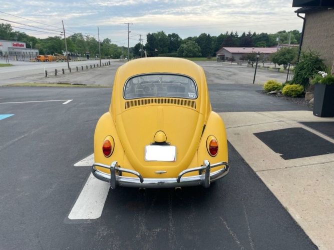 Unknown-Beetle-1964-Yellow-9
