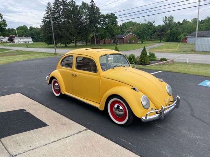 Unknown-Beetle-1964-Yellow