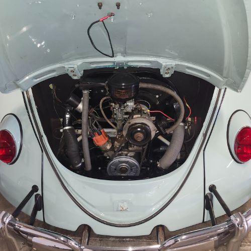 Unknown-Beetle-1964