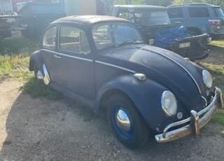 Unknown-Beetle-1965-1