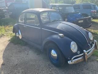 Unknown-Beetle-1965-1