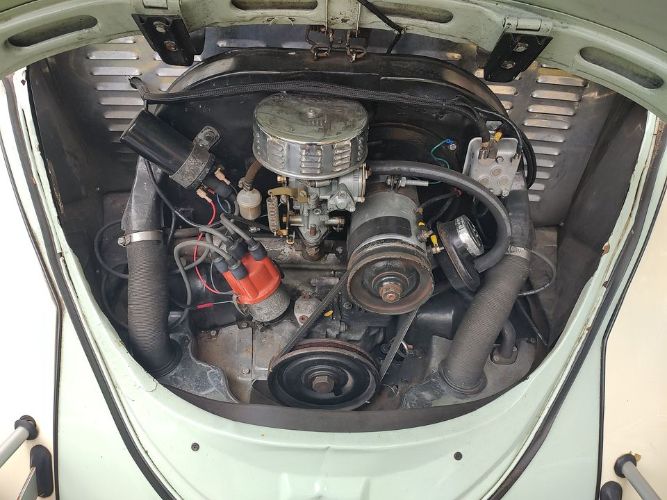 Unknown-Beetle-1965-11