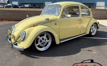Unknown-Beetle-1965-14