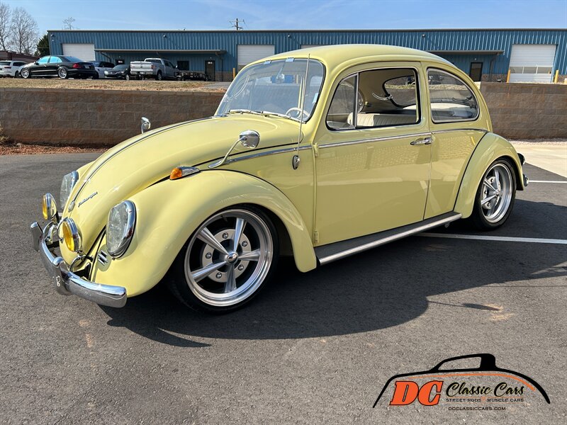 Unknown-Beetle-1965-14