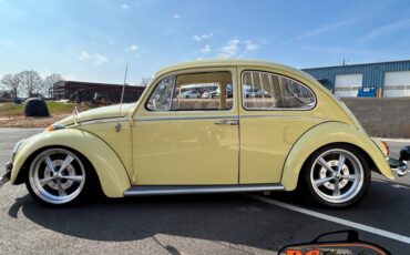 Unknown-Beetle-1965-15