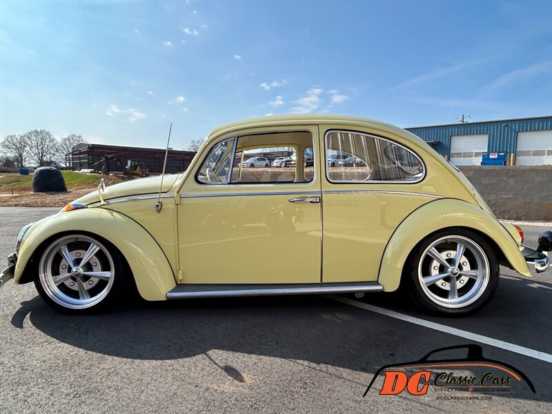 Unknown-Beetle-1965-15