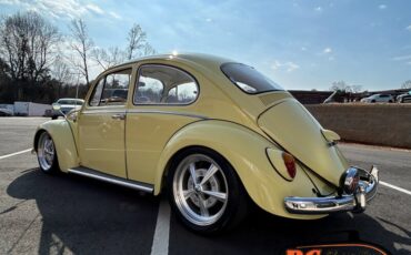 Unknown-Beetle-1965-16