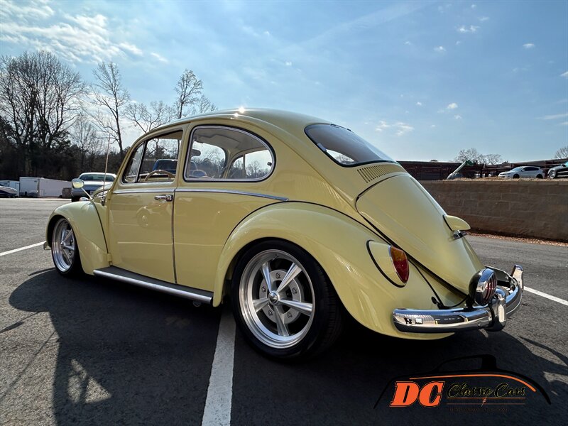 Unknown-Beetle-1965-16