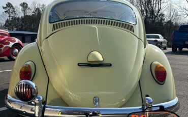 Unknown-Beetle-1965-17