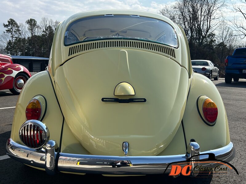 Unknown-Beetle-1965-17