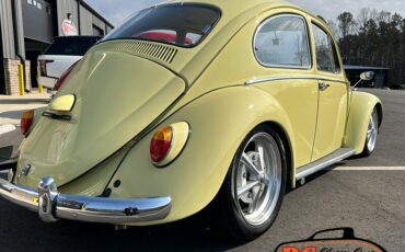 Unknown-Beetle-1965-18