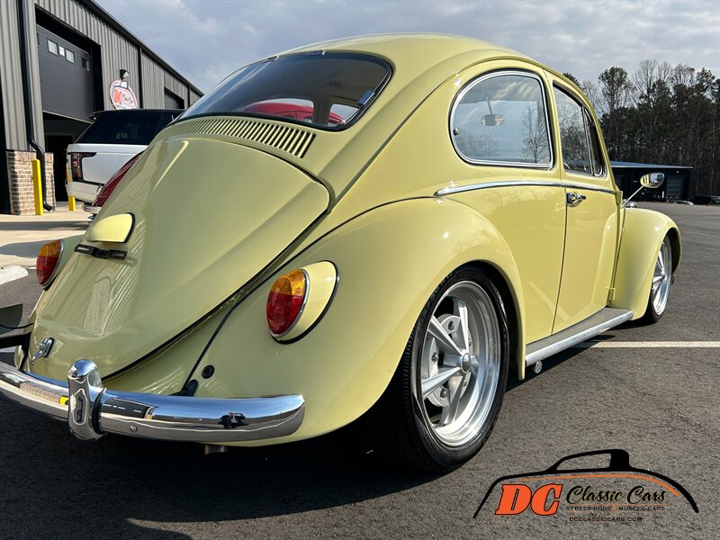 Unknown-Beetle-1965-18