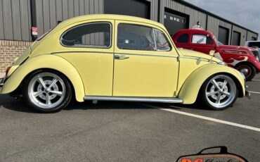 Unknown-Beetle-1965-19