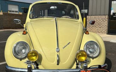 Unknown-Beetle-1965-2