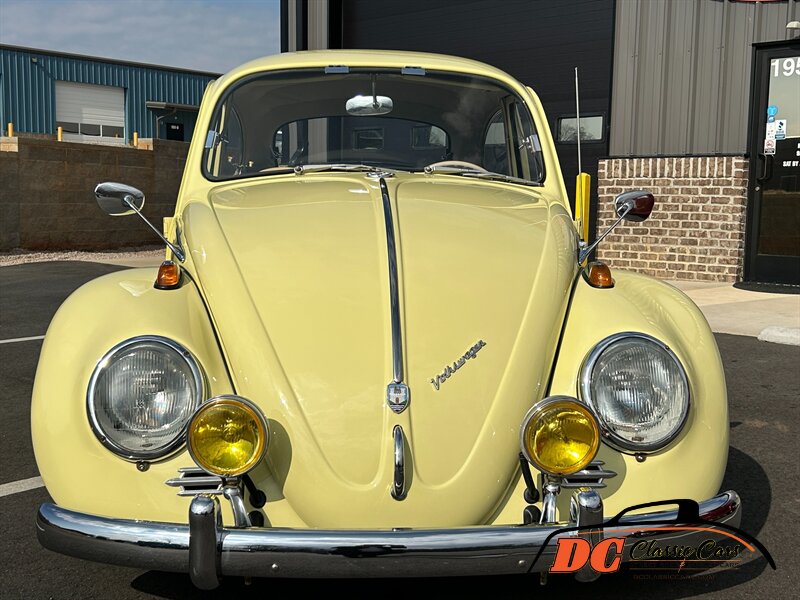 Unknown-Beetle-1965-2