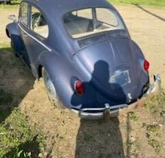 Unknown-Beetle-1965-2