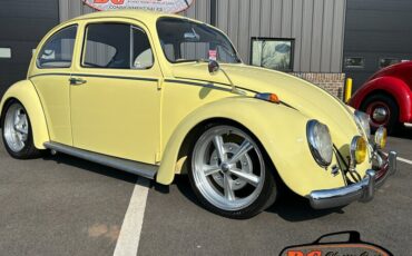 Unknown-Beetle-1965-20