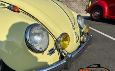 Unknown-Beetle-1965-21