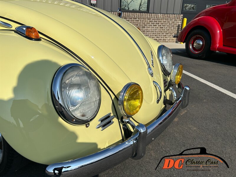 Unknown-Beetle-1965-21