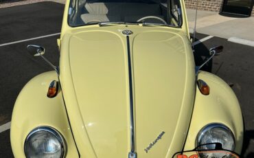Unknown-Beetle-1965-23