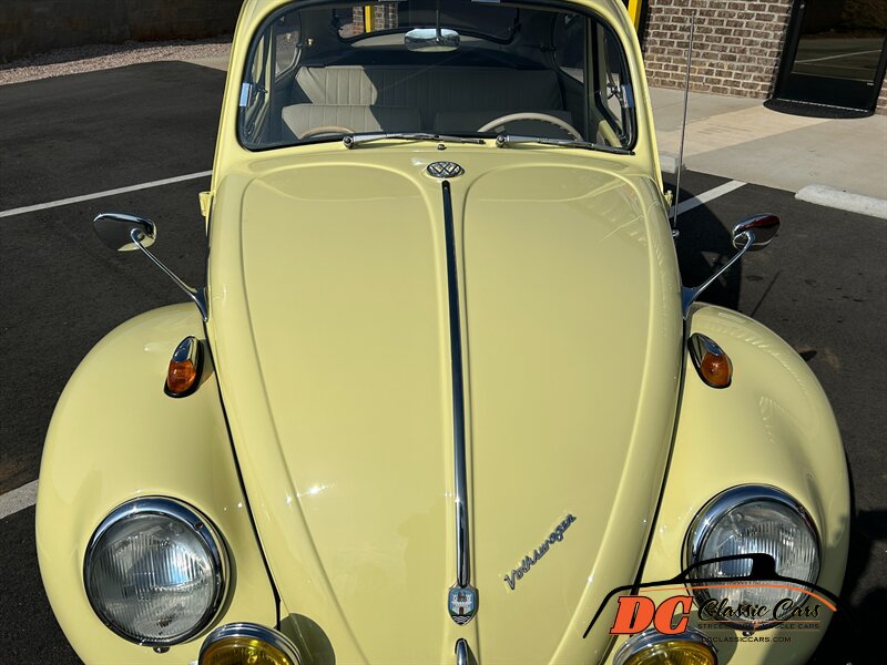 Unknown-Beetle-1965-23