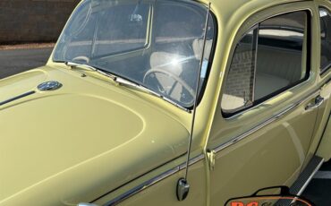 Unknown-Beetle-1965-24