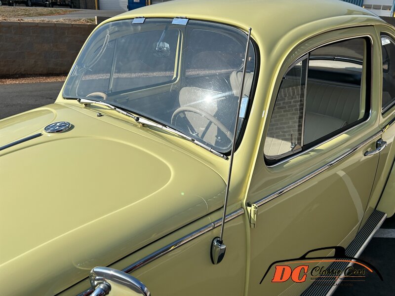 Unknown-Beetle-1965-24