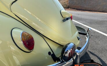 Unknown-Beetle-1965-26